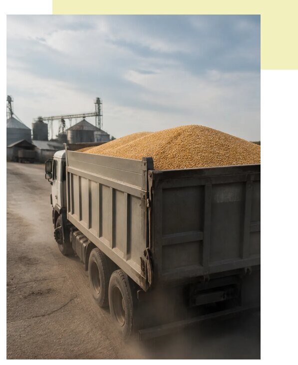 Перевозка сельхозпродукции навалом в Урюпинск по цене от 3090 р. | Агросервис-Рюп